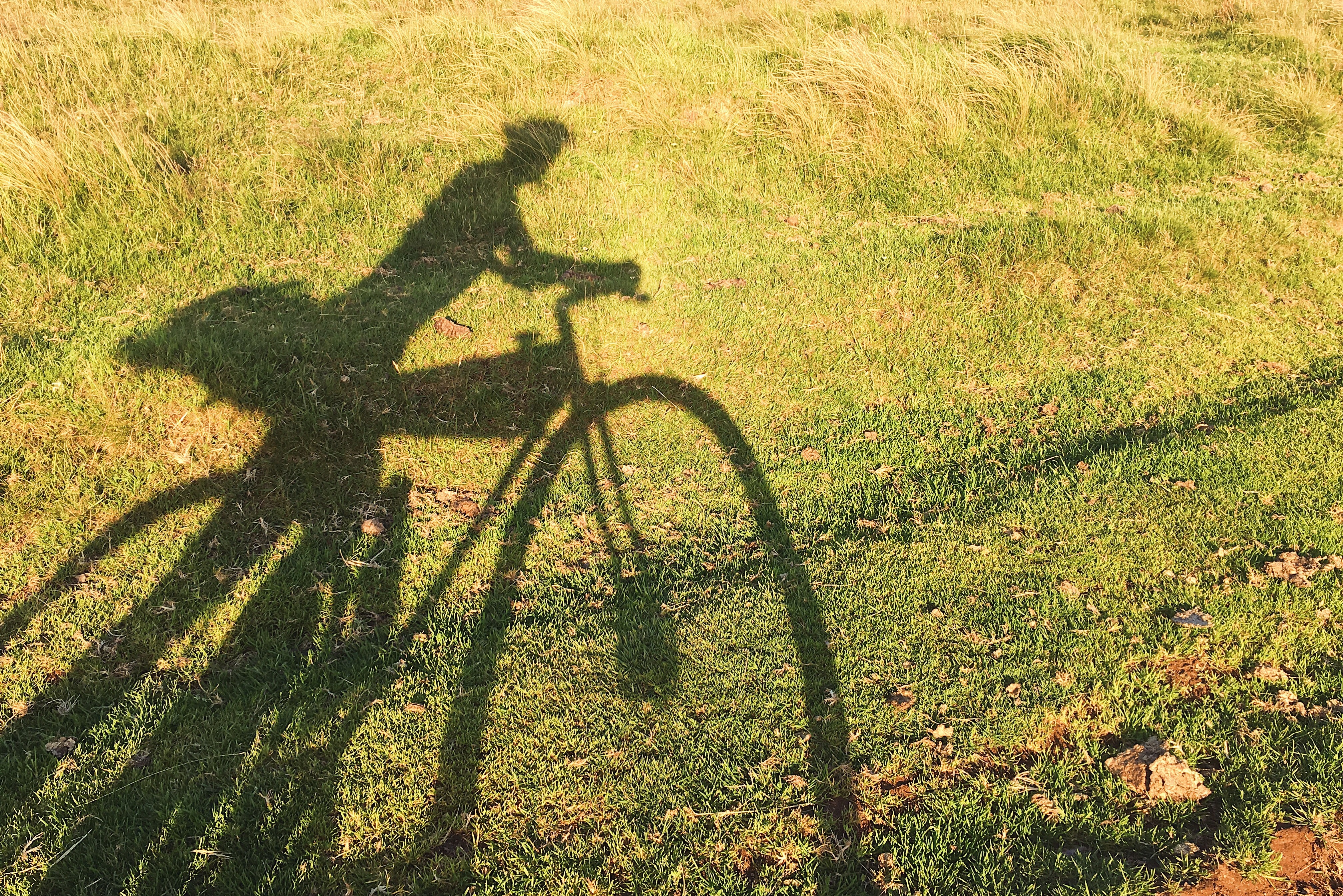 Processed with VSCO with acg preset