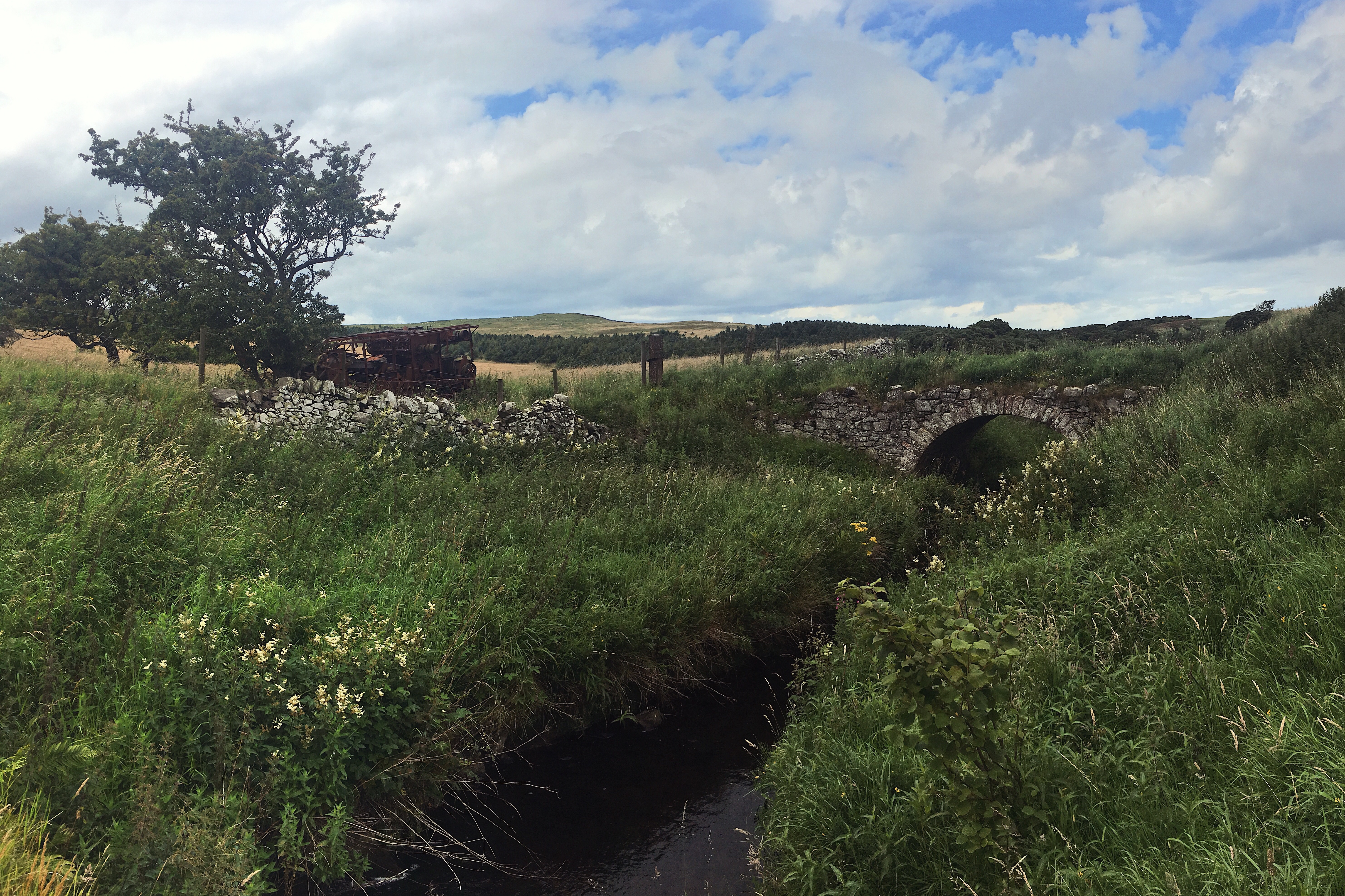 Processed with VSCO with acg preset